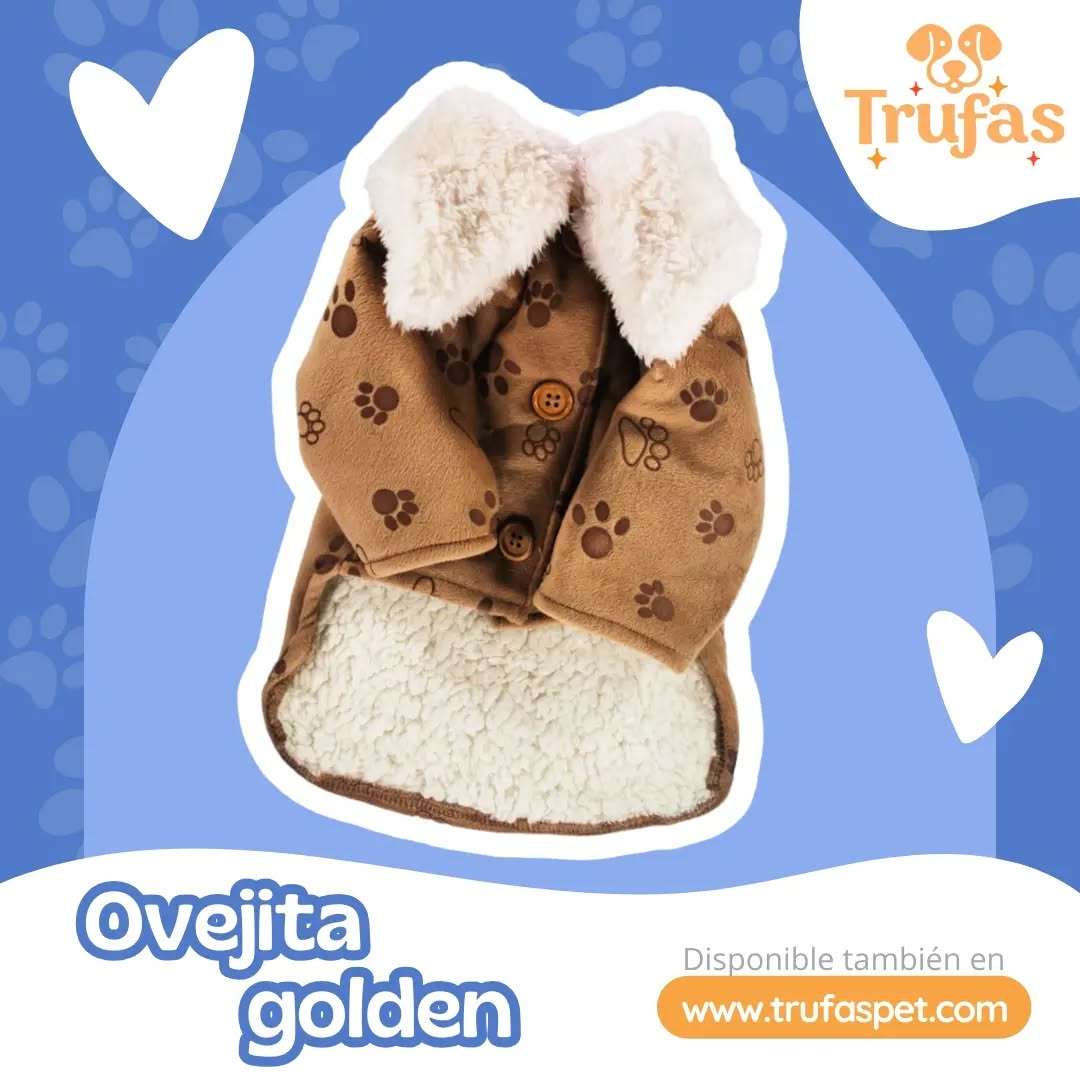 Ovejita Golden